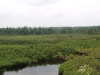 Oswegatchie River from High Rock